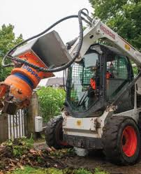 Image result for dipperfox tehron