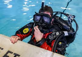 Image result for Headstream Divers