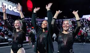 Image result for Abbey Gymnastics Club