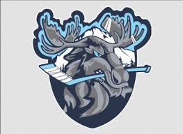 Image result for Tynemouth Hockey Club