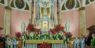 Image result for St Rita`s Camogie Club