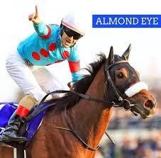 Image result for Almond Riding Club