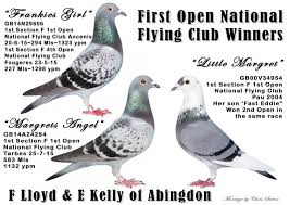 Image result for Abbeyton & Broomfield Racing Pigeons