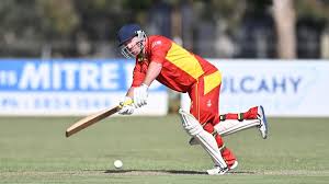 Image result for Groombridge Cricket Club