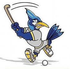 Image result for Warrington Hockey Club