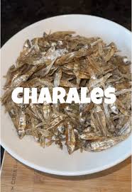 Attēlu rezultāti vaicājumam “Charales”