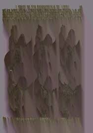 Attēlu rezultāti vaicājumam “Trichia longipalpis”