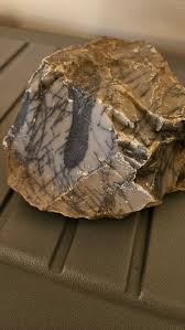 Image result for SEM micrographs of Novaculite Arkansas