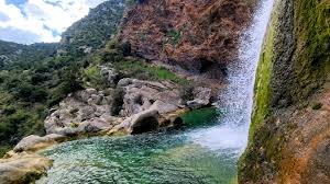 Attēlu rezultāti vaicājumam “Leporida”