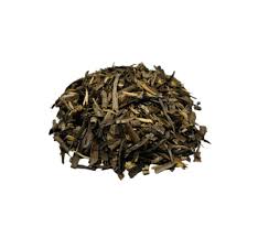 Attēlu rezultāti vaicājumam “Asparagus officinalis leaf”