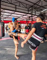 Image result for Muay Thai Clubs