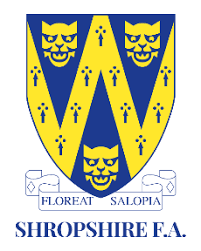 Image result for Lawley Lightmoor Comets Football Club