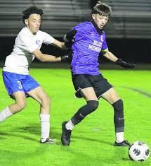 Image result for Green Isle Camogie Club - Players Wanted!