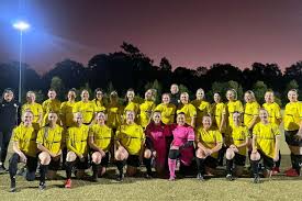 Image result for Ripley Netball Club