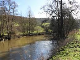 Image result for Bathampton Angling Association