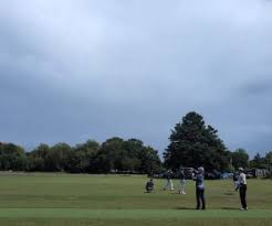 Image result for Nazeing Common Cricket Club
