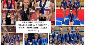 Image result for Vernon Park Gymnastics