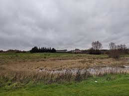 Image result for Crowlands Heath Golf Club
