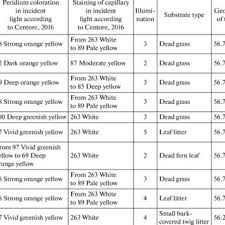 Attēlu rezultāti vaicājumam “Physarum braunianum plasmodium”