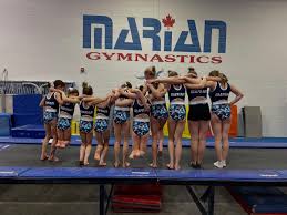Image result for Fish trampoline and gymnastics club