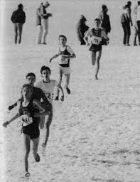 Image result for Tynedale Harriers Athletics Club