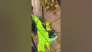 Image result for pheega