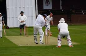 Image result for Old Wilsonians Cricket Club