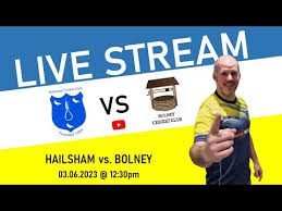 Image result for Bolney Cricket Club