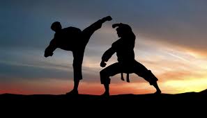 Image result for kung fu