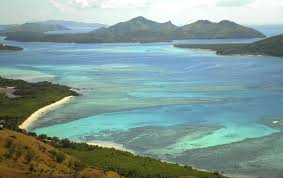 Attēlu rezultāti vaicājumam “Aranei exuvia”