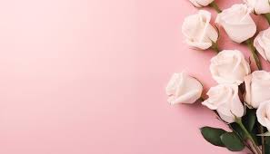 Image result for FOTO ROSA