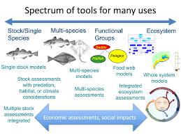 Image result for site:gov managing,side effects