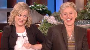 Image result for Bugaboo Cameleon Amy Poehler