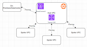 Image result for hub and spoke network