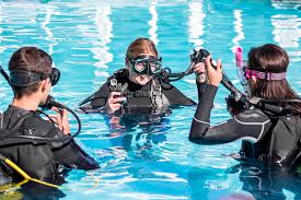 Image result for Divemaster Scuba