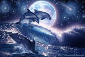 http://t0.gstatic.com/images?q=tbn:ANd9GcS6305FQssfO4dUCo1cD5BkkKaYYH0D5W0a1Eb0x1LkyIrClt14SQ