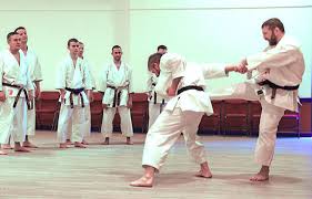Image result for Backwell Karate