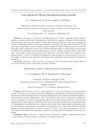 Attēlu rezultāti vaicājumam “Cribraria languescens”