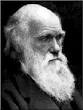 darwin.gif