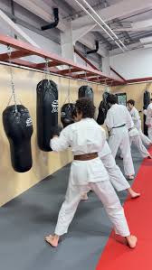Image result for Abbey Fit Karate Club & Seiki Juku
