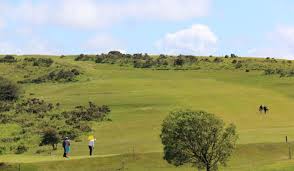Image result for Clyne Golf Club Limited