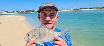 Image result for Rhabdosargus holubi