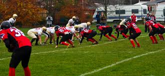 Image result for Warwick Wolves