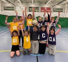 Image result for pulborough netball club