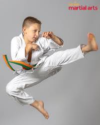 Image result for Get Into Martial Arts