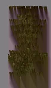 Attēlu rezultāti vaicājumam “Didymium xanthopus macro”