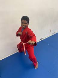 Image result for Full Element Mixed Martial Arts