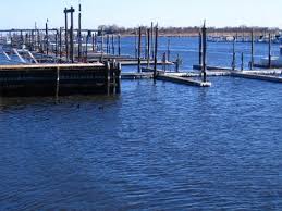 Image result for York Canoe Club