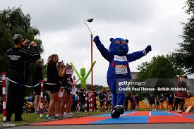 Image result for Cheltenham and County Harriers