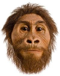 Image result for lucy